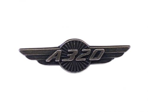 https://www.pilottrainingcentre.com/storageAirbus 320 Bronze Wing