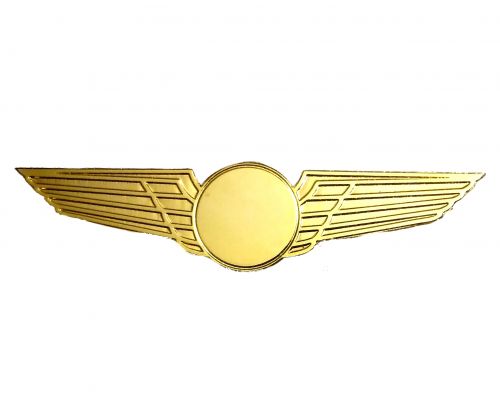 Gold plated wing With Aircraft (Laser Cut)