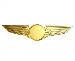 Gold plated wing With Aircraft (Laser Cut)